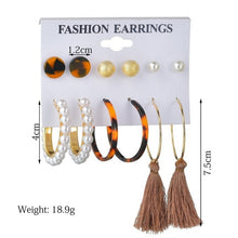 Load image into Gallery viewer, Exknl Women Earrings Set Acrylic Pearl Earrings For Women Bohemian Leopard Tassel Stud Earrings 2020 New Brincos Fashion Jewelry
